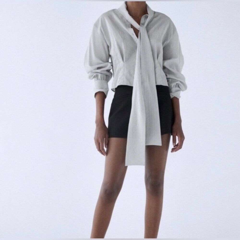 Zara Grey Organza Top